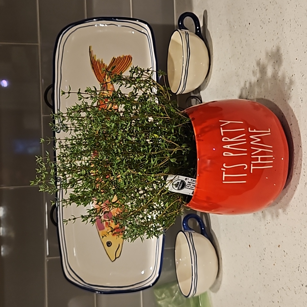 Rae Dunn coral Planter IT'S PARTY THYME